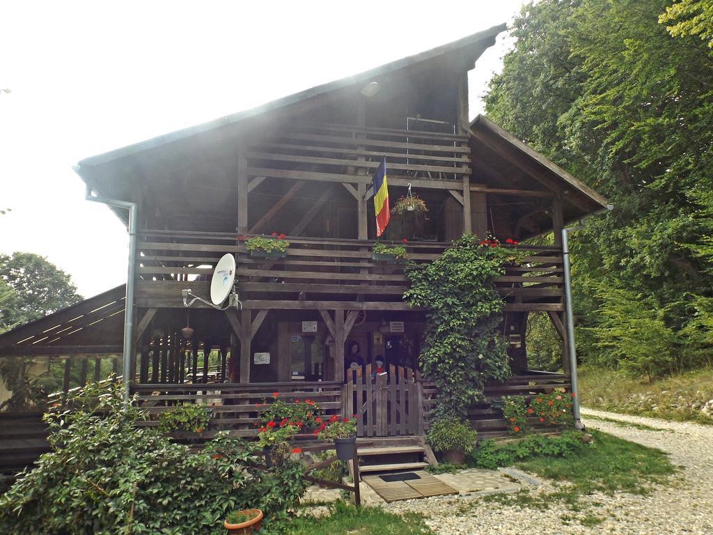 Отель Cabana La Noi Рышнов Экстерьер фото