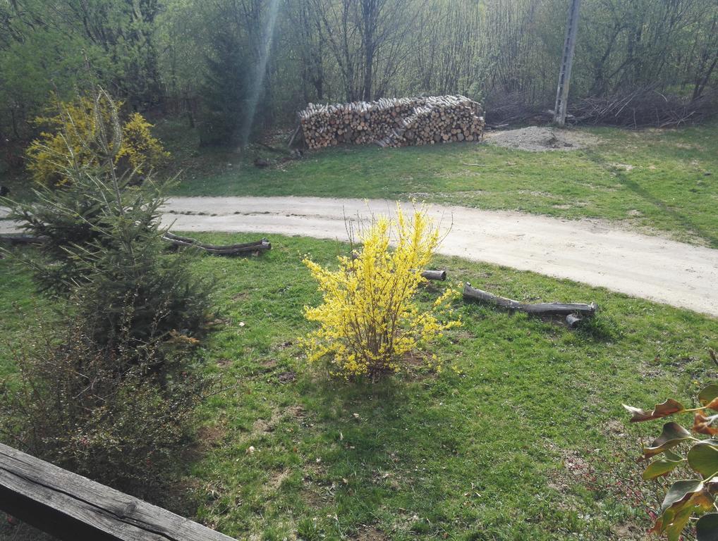 Отель Cabana La Noi Рышнов Экстерьер фото